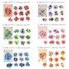 Arpaper Seal Collage Assortment (Flower Words)