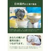 (Made in Japan) uFit Complete Nutritional Food, Bango Tea, Powder,