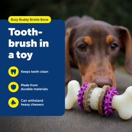 PetSafe Busy Buddy Bristle Bone Dog Chew Toy - Treat Holding Toothbrush Toy for Hard Chewers - Helps Keep Your Dog's Teeth Clean - Durable, Interactive - Purple, Extra Small