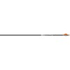 Easton Axis SPT Shafts 300 1 doz.