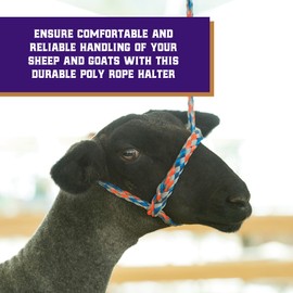 Weaver Livestock Poly Rope Sheep Halter, Modern Style Braid Sheep and Goat Rope Halter, Adjustable Lamb Halter Lead, Livestock Sheep Showing Supplies