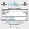 Beyond Vitamins | Zinc 20mg (Gluconato de Zinc) Potenciado con