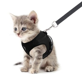 meioro No Pull Dog Harness and Lead Set for Small Medium Dog Cat,Reflective Adjustable Soft Mesh Pet Vest Harnesses for Walking,Breathable Padded Easy Control Step-in Puppy Kitten Vest with 1.2m Leash