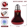 REPTI HOME UVA UVB Light Bulb for Birds 2.4 UVB