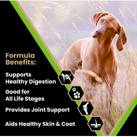 VICTOR Super Premium Dog Food – Elite Canine Dry Dog Food with Chicken & Fish Meal – 25% Protein, 14% Fat, Gluten Free – for Large Breed Dogs & Puppies, 50lbs