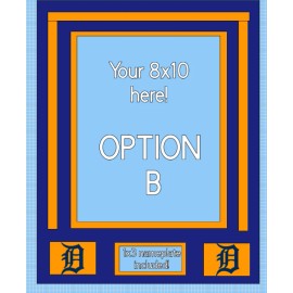 DETROIT TIGERS New 11x14 Custom Frame Kit For 8x10 Photo 8 OPTIONS AUTO 1/1