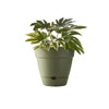 Northcote Pottery Leonard Self-Watering Pot, 20 x 18 cm Size,