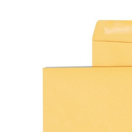 Staples Brown Kraft Clasp Envelopes, 9" x 12", 12/Pack