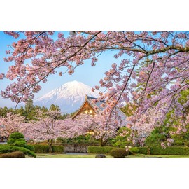 Japan Osaka Castle Background Japanese Style Building Landscape Photography Backdrop Pink Cherry Blossoms Asian Travel Themed Party Adult Portrait Photo Studio Video Props 9x6ft