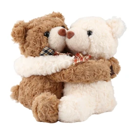 Hugging Teddy Bears, Two Hugging Teddy Bears Stuffed Animals for Couple Girlfriend Girls Kids with Paw Hook and Loop, Soft Plush Toys Companion Gifts for Valentines Birthday Christmas Room Home Decor