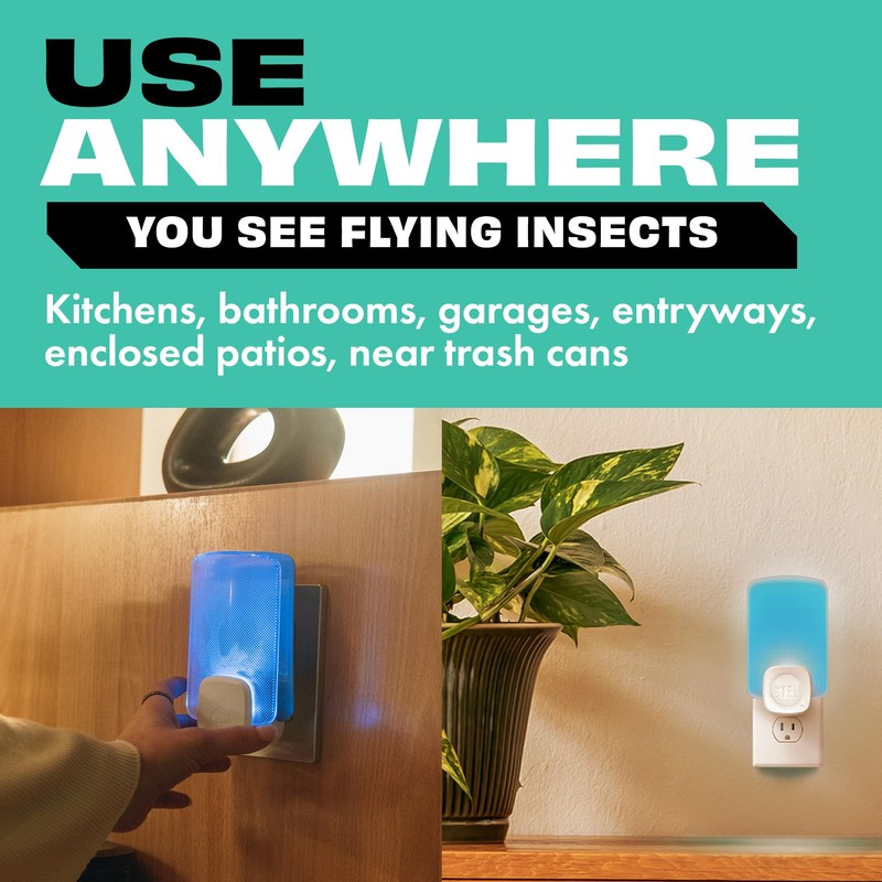 STEM Insect Trap - Indoor Fruit Fly & Gnat Pest