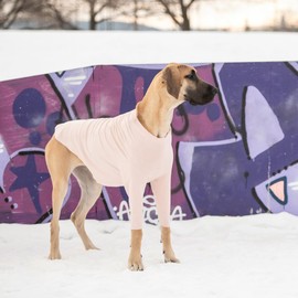 GF PET Gondola Base Layer for Dogs | Micro Polar Fleece Dog Bodysuit | Warm 4-Way Stretch Onesie | Full Body Coverage, Protection from Cold | Pajamas & Winterwear - Pink - 3X Large