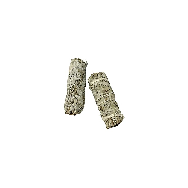 Juicy Spicy California White Sage Bundle for Energy Cleansing [2