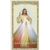 +Holy Card-"Divine Mercy Chaplet" (Jesus I Trust In You) *Prayer-