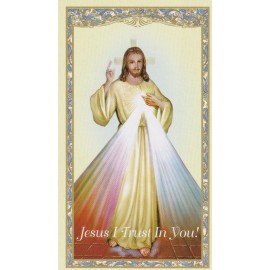 +Holy Card-"Divine Mercy Chaplet" (Jesus I Trust In You) *Prayer-  (HC11-S1}