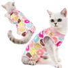 CELONROMF 2-Pack Pet Post-Surgery Recovery Suit for Cats Dogs, Abdominal
