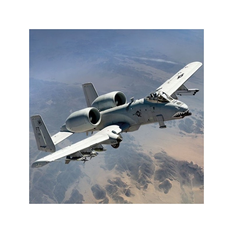 Plastic Model 1/48 A-10C US Air Force Flying Tigers /