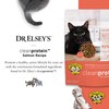 Dr. Elsey's Dr. Elsey'S Cleanprotein Salmon Formula Dry Cat Food,