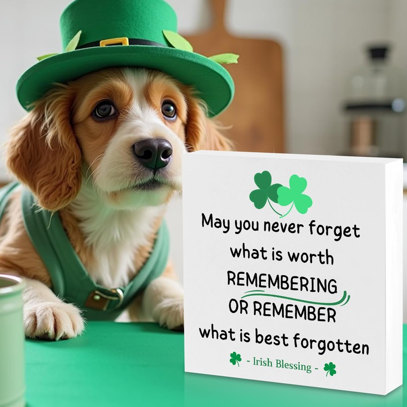 St. Patricks Day Decor Irish Blessing Sign May You Decorative