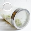PATIKIL Germination Lids, 6 Pieces 70 mm Stainless Steel Strainer