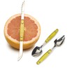RSVP International Endurance Grapefruit Tool Collection Stainless Steel, Dishwasher Safe,