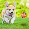 Nerf Dog Rubber Tennis Balls Squeaker Dog Toys 2 Pack