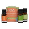 ECO. Modern Essentials Scents of Summer Essential Oil Trio, 3