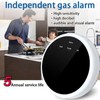 SPARTHE Gas Leak Detector Alarm for Caravan, Boats