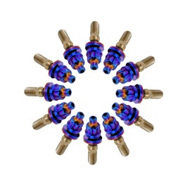 RISON-Titanium M8/M10 Titanium Exhaust Manifold Stud Kit Burnt Blue/Original/Red GR5 Titanium Bolt Kit 12 PCS/Set (M8x1.25x45mm, Burnt Blue)