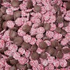 Candy Retailer Milk Chocolate Valentine's Nonpareils 1 Lb