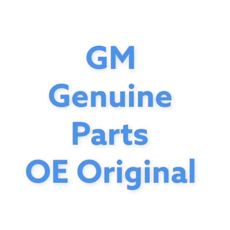 General Motors NEW OEM GM 2014-2020 CHEVY SILVERADO Lock And