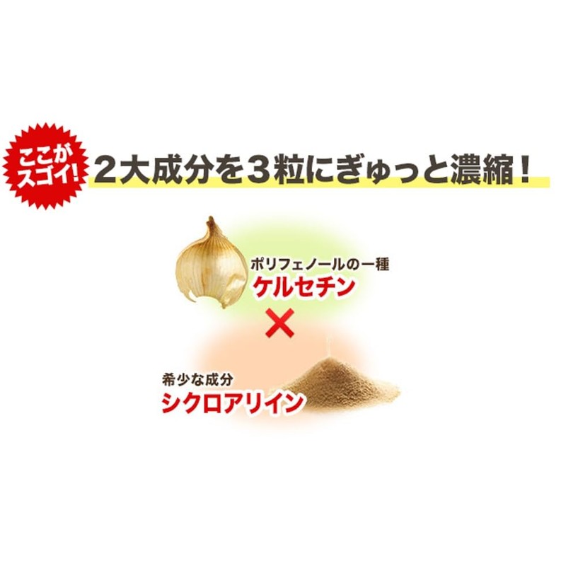 ハウスダイレクト タマネギの力 (90粒 / 30日分) 健康サポート 元気を支える (玉ねぎ発酵エキス/玉ねぎ外皮エキス/ビタミンC・ビタミンE・ビタミンB6 配合) サプリメント