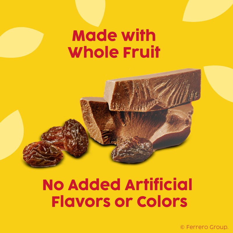 Raisinets, Milk Chocolate Covered California Raisins, Movie Theater Candy Box,