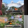 Large Premium Window Bird Feeder-3 Heavy Duty Strong Suction Cups
