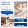 moftech Cat Calvo, Inert, Hypochlorous Acid Water, Clear Pet Pro,