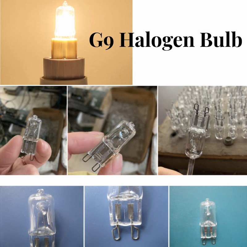 Foco halógena G9, 120 V, 40 W, 10 unidades, base