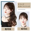 HAPVITAL Ponytail Point Wig Curly Long Ponytail Curly Hair 21.7