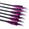 PG1ARCHERY 30 Inch Carbon Arrows with 4 Inch Shield Turkey