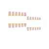 24 Pcs Press on Nails Short Square,YIHONGYAN Fake Nails Press