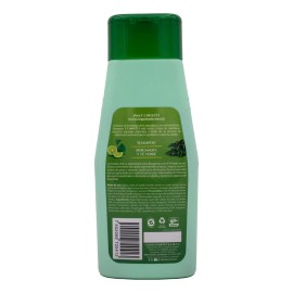 Shampoo Bergamota Y Té Verde Resequedad Cabello Fuerte