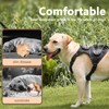 Climate-Control Dog Vest Harness | Cooling & Heating for All