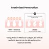 Biodance [Biodance]Pore Tightening Collagen Cream 50ml