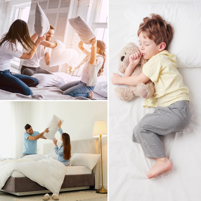 LYMA Bedding Pillow Cases 2 Pack, Ultra Soft Breathable Oxford