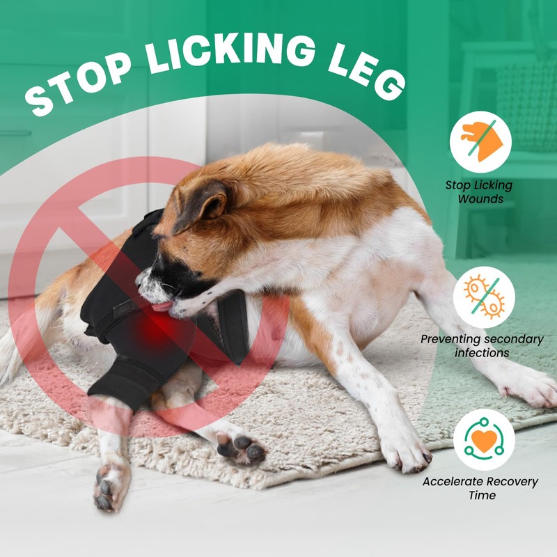 Dog Rear Leg Sleeve to Stop Licking, Hind Leg Protector