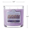 Colonial Candle French Lavender Scented Jar Candle, 2 Wick, 3.5