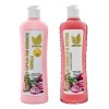 Shampoo & Tratamiento Con Biotina Cebolla Y Romero Anticaida