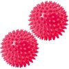 TOGU Spiked Ball Massage Ball Hedgehog Ball Set of 2