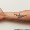'Pigeon with Attitude' Temporary Tattoo - Water Resistant, Skin-Safe, Non-Toxic