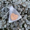Wooden Heart Ornaments, Just For You, Tiny Hug Token, Special