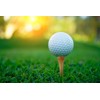 WHAMZ33 W Professional Wooden Golf Tees 2 3/4 inch Tee